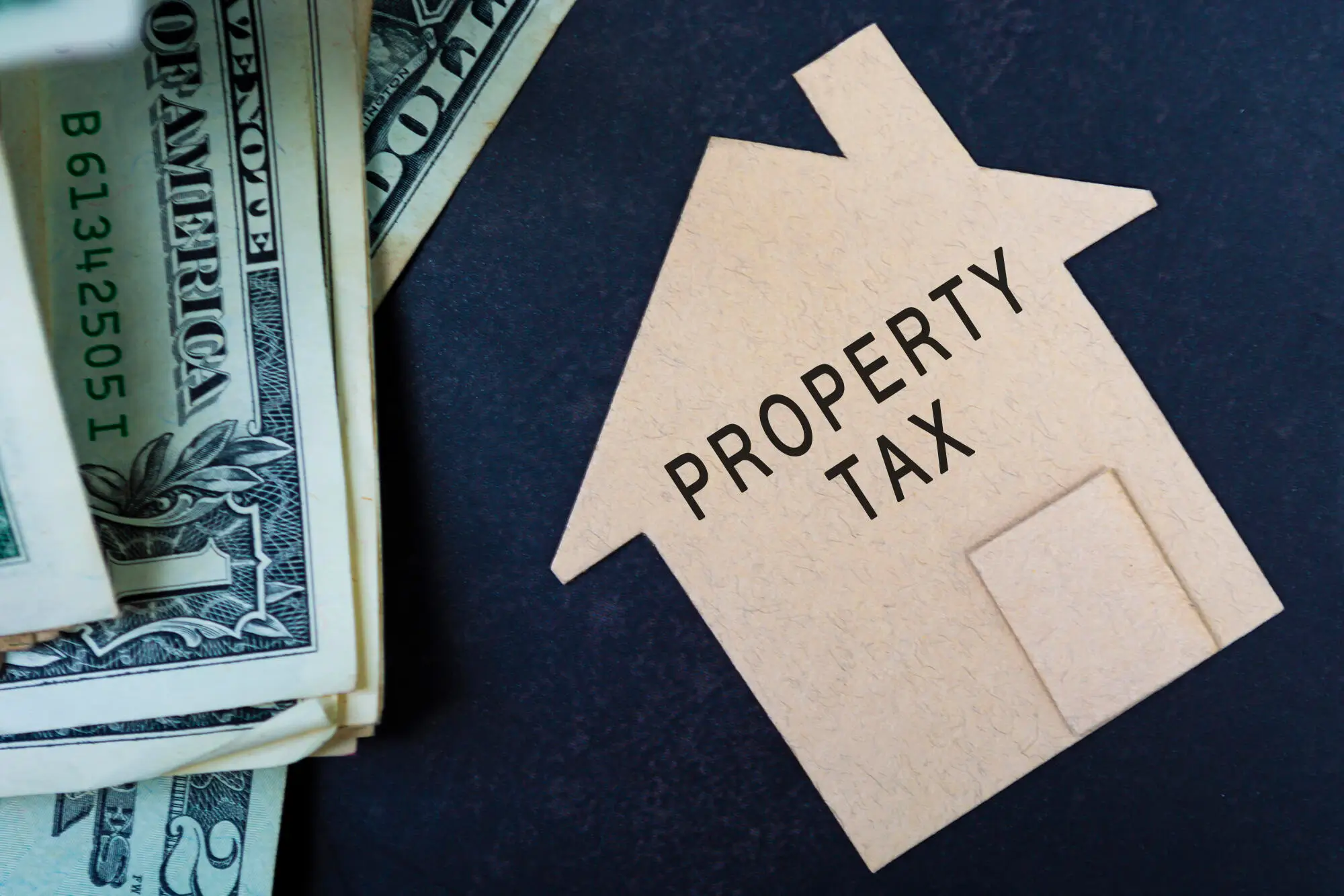 Do Renters Pay Property Tax in Charlotte, NC? A Guide for Renters