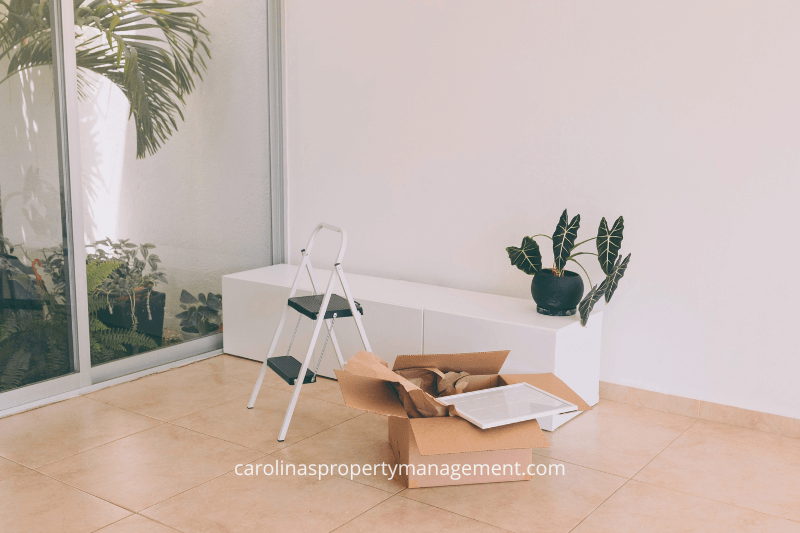 An empty, minimalist apartment space with a step ladder, a box of unpacked items, and potted plants next to a large window. This scene represents the early stages of moving into a new rental property, showcasing how Carolinas Property Management LLC supports tenants with their transition into a fresh, welcoming living environment.